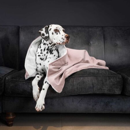 Dog & Puppy Blanket